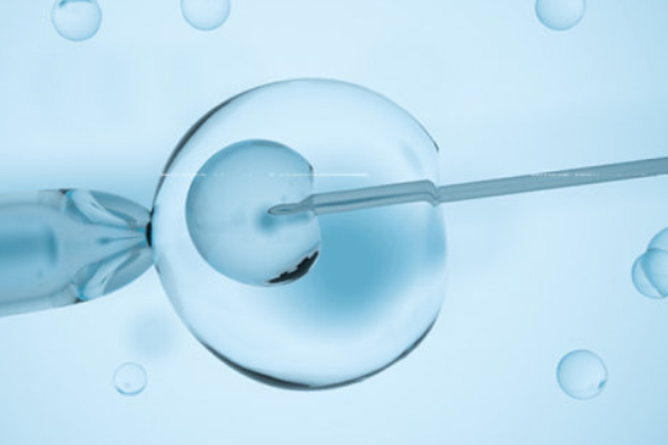 孕期婴儿成长图