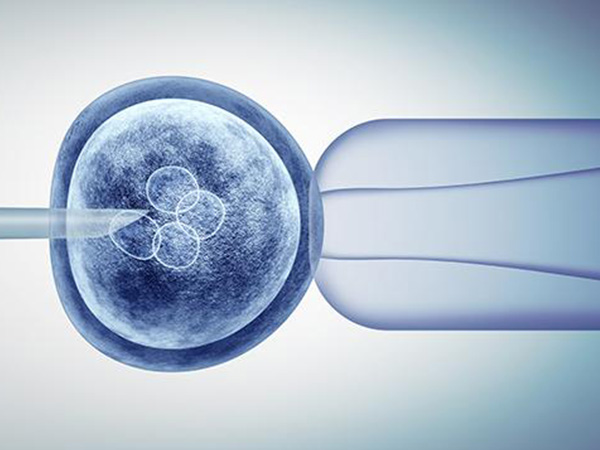 孕期计算器小娃子