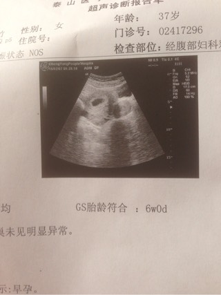 男性孕检
